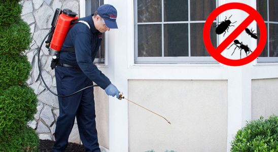 Torbalı Haşere İlaçlama böcek ilaçlama ve haşere kontrolü — ilaclama-tr.com